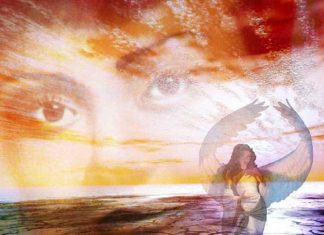 Choisissez, en conscience, le chemin que vous prenez à chaque instant